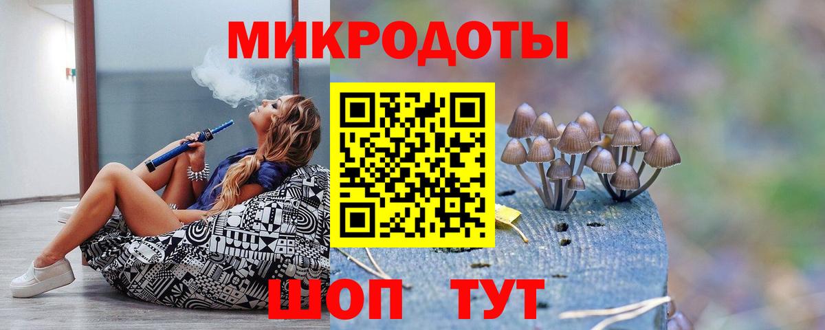 Галлюциногенные грибы Psilocybine cubensis Владивосток
